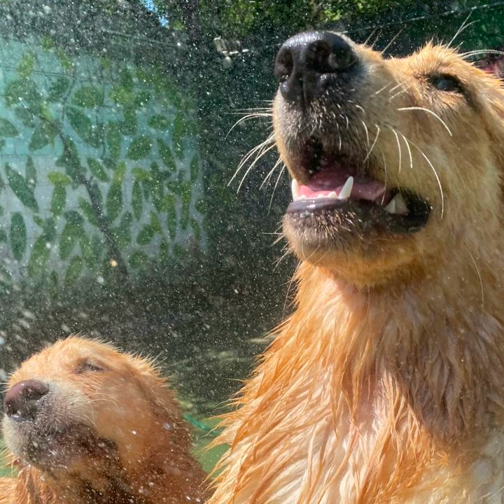 Espaço da Escola Canto da Toca